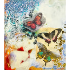 Flight of Transformation