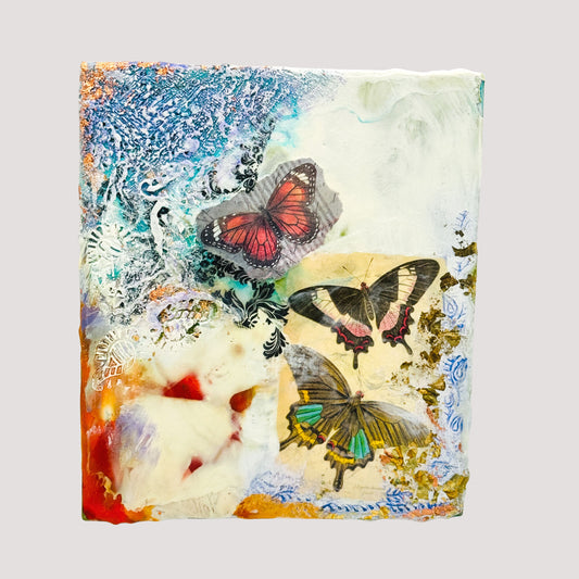 Flight of Transformation